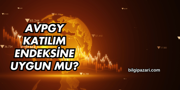 AVPGY Katılım Endeksine Uygun mu?
