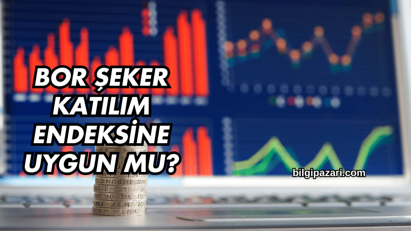 Bor Şeker Katılım Endeksine Uygun mu?