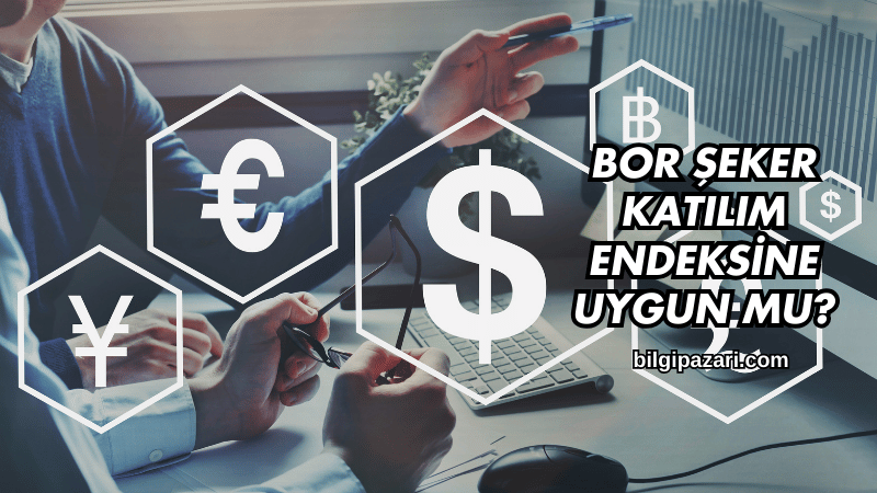 Bor Şeker Katılım Endeksine Uygun mu?