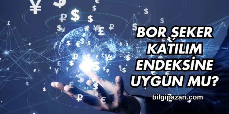Bor Şeker Katılım Endeksine Uygun mu?