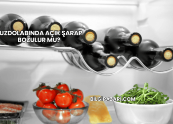 Buzdolabında Açık Şarap Bozulur mu?