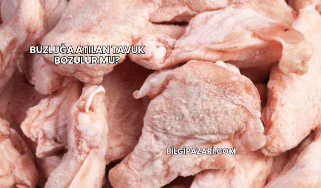 Buzluğa Atılan Tavuk Bozulur mu?