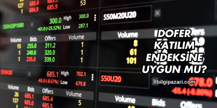 Dofer Katılım Endeksine Uygun mu?