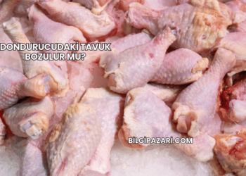Dondurucudaki Tavuk Bozulur mu?