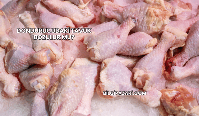 Dondurucudaki Tavuk Bozulur mu?
