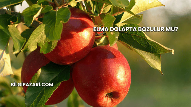 Elma Dolapta Bozulur mu?