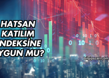 Hatsan Katılım Endeksine Uygun mu?