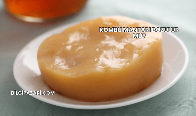 Kombu Mantarı Bozulur mu?