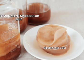 Kombu Mantarı Bozulur mu?
