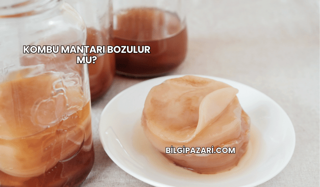 Kombu Mantarı Bozulur mu?
