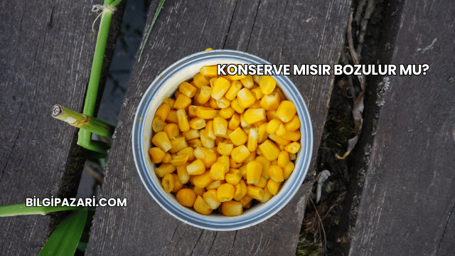 Konserve Mısır Bozulur mu?