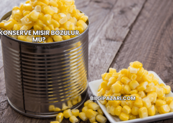 Konserve Mısır Bozulur mu?