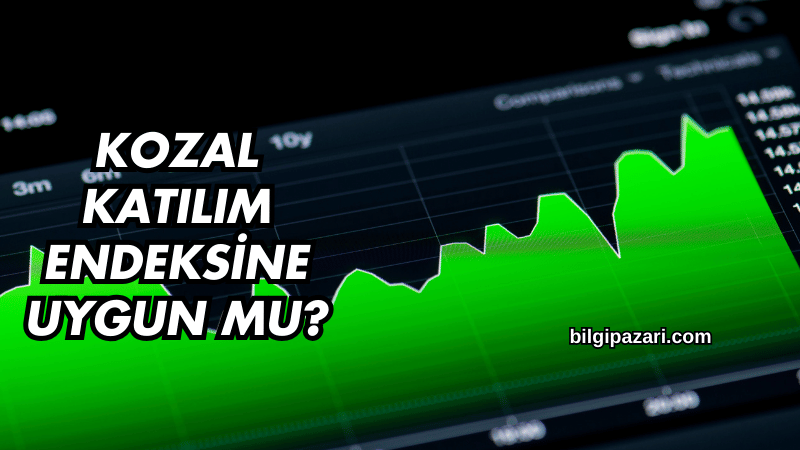 Kozal Katılım Endeksine Uygun mu?
