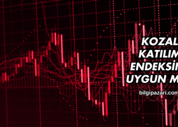 Kozal Katılım Endeksine Uygun mu?