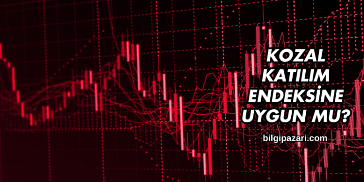 Kozal Katılım Endeksine Uygun mu?