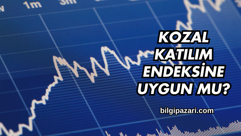 Kozal Katılım Endeksine Uygun mu?