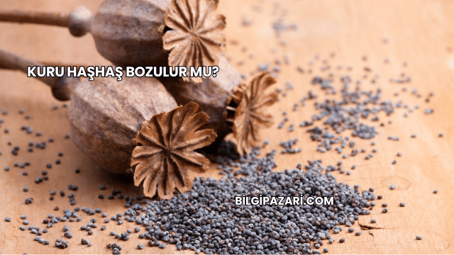 Kuru Haşhaş Bozulur mu?
