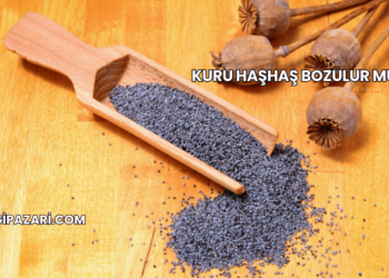 Kuru Haşhaş Bozulur mu?