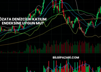 Özata Denizcilik Katılım Endeksine Uygun mu?