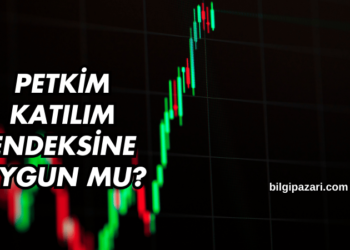 Petkim Katılım Endeksine Uygun mu?