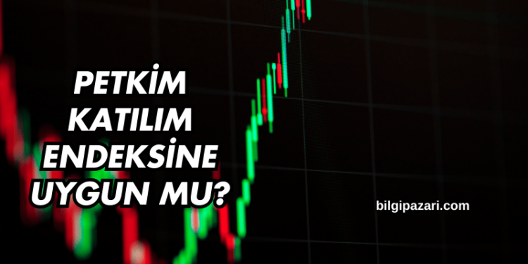 Petkim Katılım Endeksine Uygun mu?