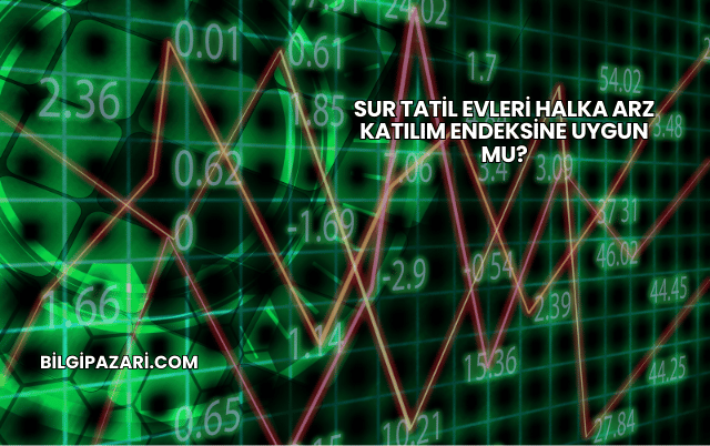 Sur Tatil Evleri Halka Arz Katılım Endeksine Uygun mu?