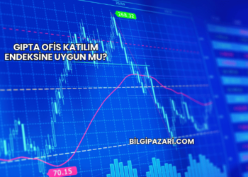 Gıpta Ofis Katılım Endeksine Uygun mu?
