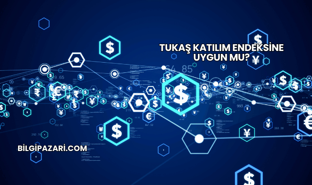 Tukaş Katılım Endeksine Uygun mu?
