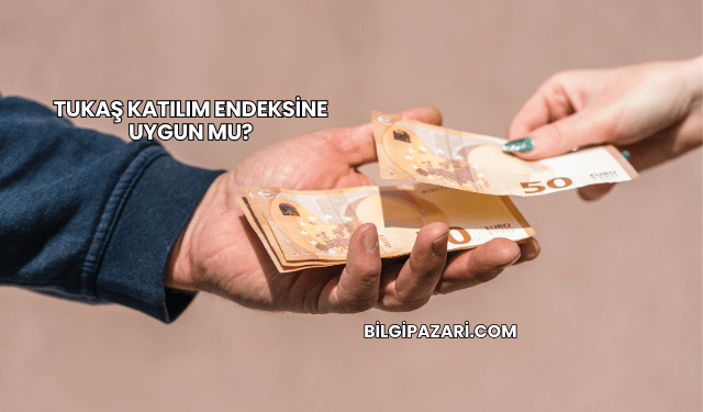 Tukaş Katılım Endeksine Uygun mu?