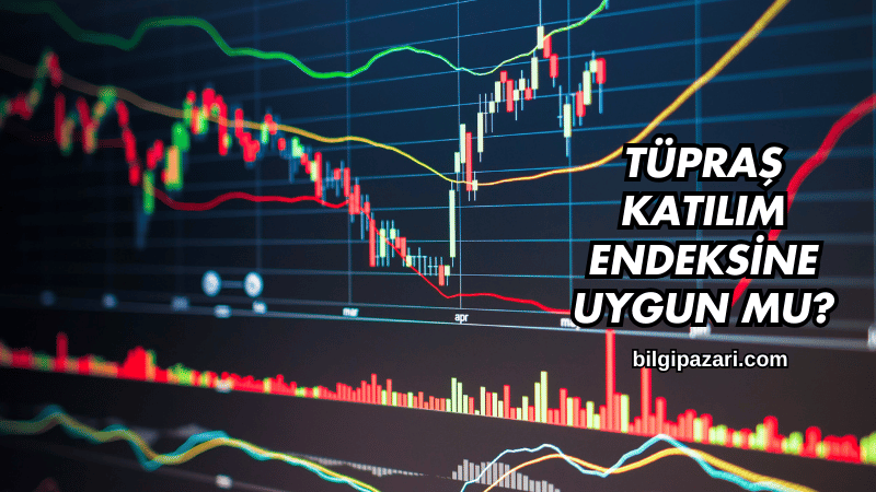 Tüpraş Katılım Endeksine Uygun mu?