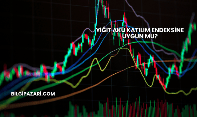 Yiğit Akü Katılım Endeksine Uygun mu?