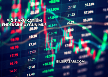 Yiğit Akü Katılım Endeksine Uygun mu?