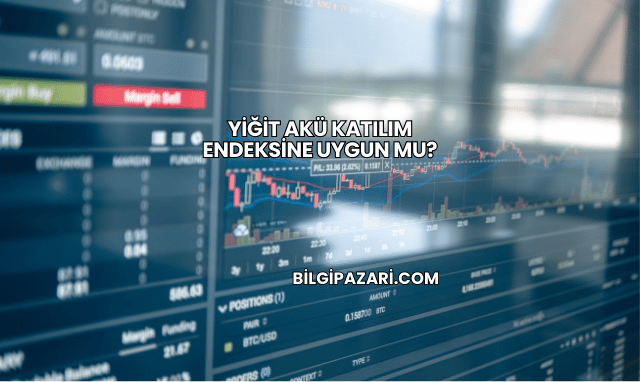 Yiğit Akü Katılım Endeksine Uygun mu?
