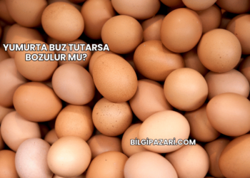 Yumurta Buz Tutarsa Bozulur mu?
