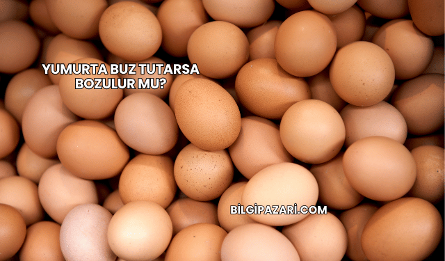 Yumurta Buz Tutarsa Bozulur mu?
