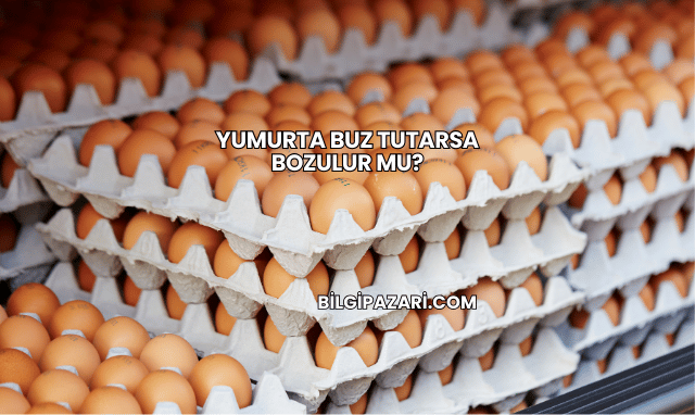 Yumurta Buz Tutarsa Bozulur mu?