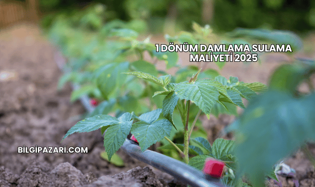 1 Dönüm Damlama Sulama Maliyeti 2025