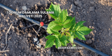 1 Dönüm Damlama Sulama Maliyeti 2025