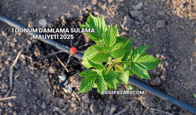 1 Dönüm Damlama Sulama Maliyeti 2025