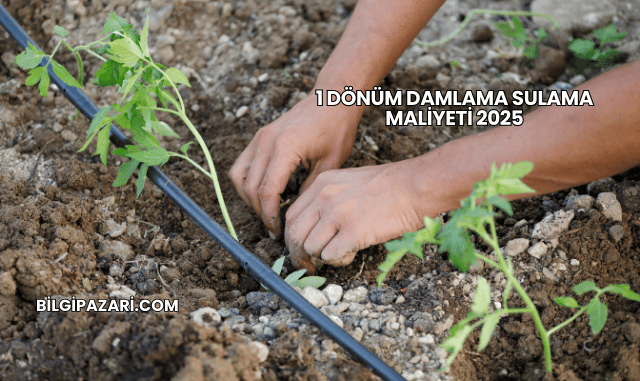 1 Dönüm Damlama Sulama Maliyeti 2025