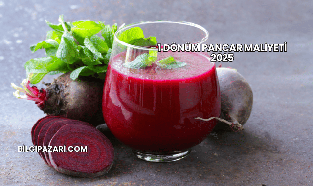 1 Dönüm Pancar Maliyeti 2025