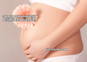 3 Haftalık Hamilelik Belirtileri Nelerdir?