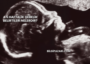 4.5 Haftalık Gebelik Belirtileri Nelerdir?