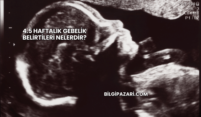4.5 Haftalık Gebelik Belirtileri Nelerdir?