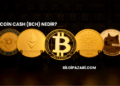Bitcoin Cash (BCH) Nedir?