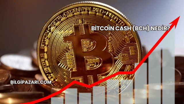 Bitcoin Cash (BCH) Nedir?
