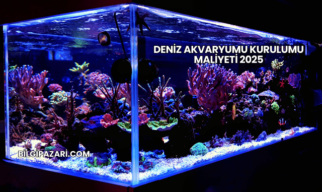 Deniz Akvaryumu Kurulumu Maliyeti 2025