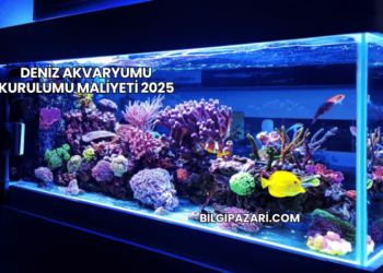 Deniz Akvaryumu Kurulumu Maliyeti 2025