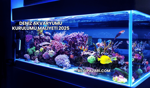Deniz Akvaryumu Kurulumu Maliyeti 2025
