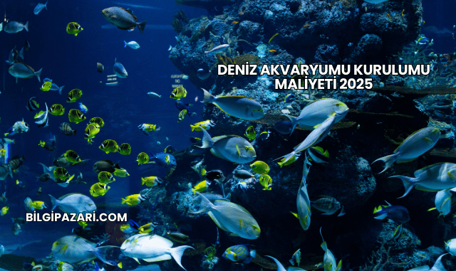 Deniz Akvaryumu Kurulumu Maliyeti 2025
